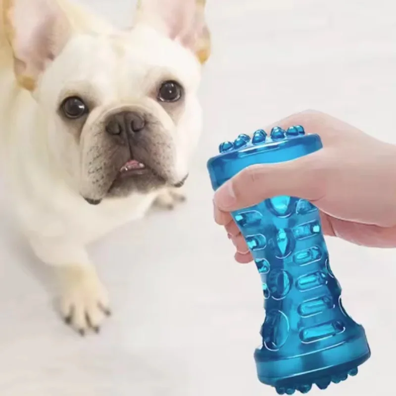 Squeaky Dog Chew Toy Bite Resistant TPR Rubber Bone for Teething Puppies Interactive Toothbrush Toy