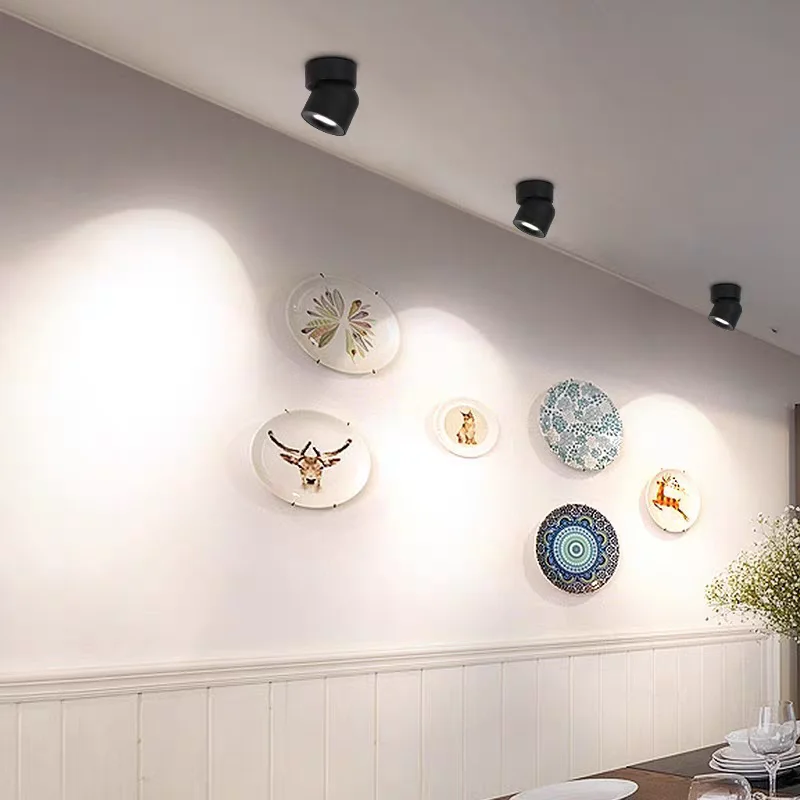 Modern Led Light Surface Mounted Adjustable Downlight Decoration Maison Room Decor Ceiling Lights Simple Style Ceiling light