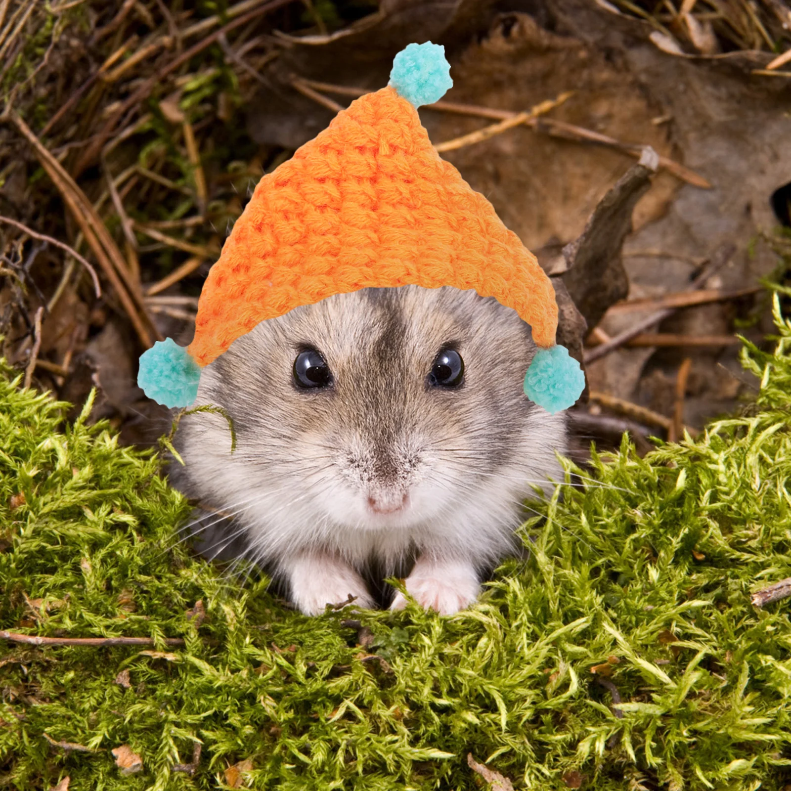 

Knitted Mini For Small Animals Guinea Pig Hamster Bunny Snake Chicken Stuffed Pets Christmas Holiday Decoration Accessories Xmas