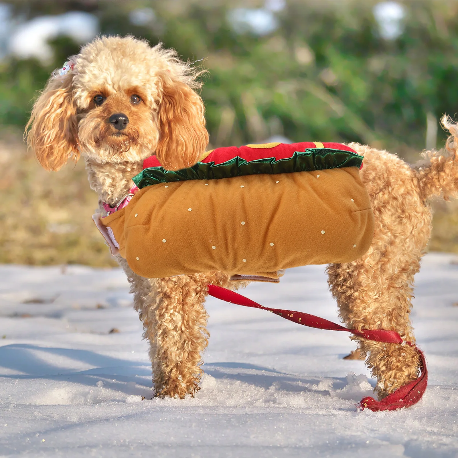 

Funny Hot Cat Dress Xs Comfortable Polyester Elastic Neck Pet Clothes Halloween Christmas Costume Cosplay