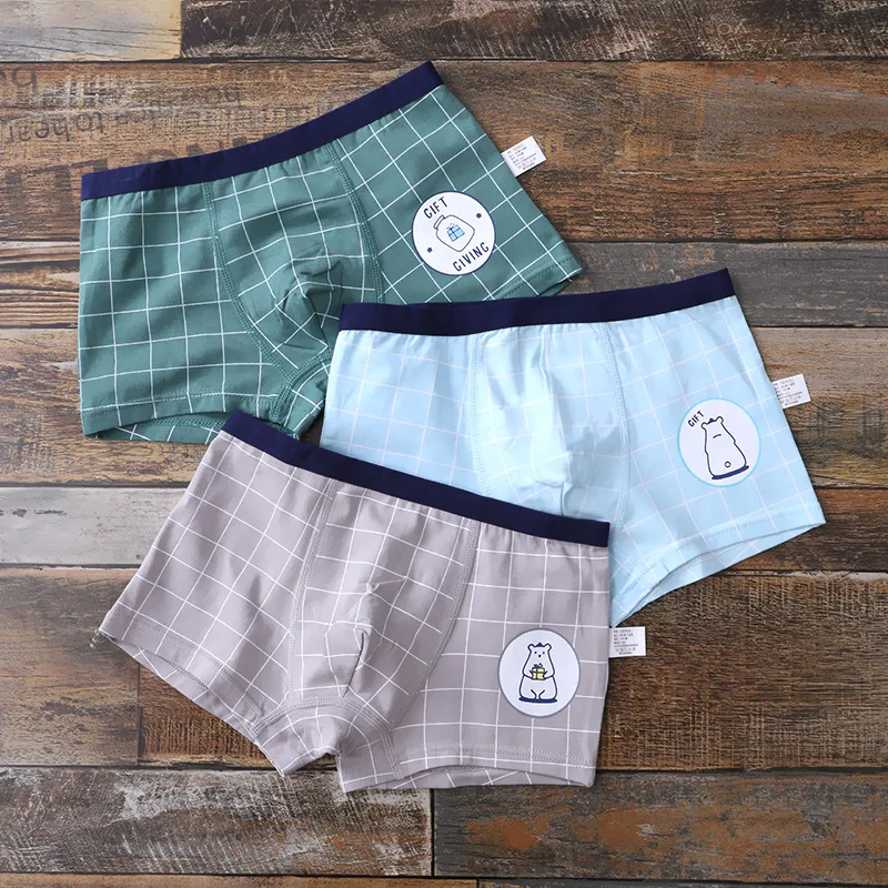 

3 Pcs/pack Teen Underwear Cotton Plaid Short Panties for Kids Boys Cotton Children Cartoon Lion Boxer Shorts Young Boy Underpant