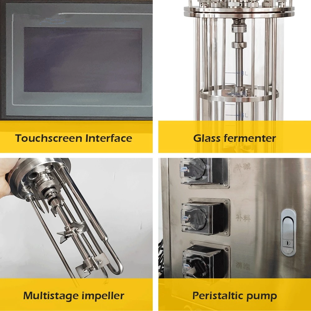 Lanphan Laboratorio Fermentatore di vetro da banco Bioreattore Microbico Bioreattore 5L 10L 15L con controllo della temperatura e del PH