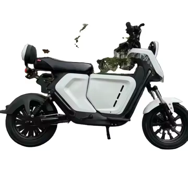 Diversified Latest Designs Hydrogen Fuel Cell bike kit H2 Powered Electric scooter Hydrogen Fuel Cell e-bike 1000W