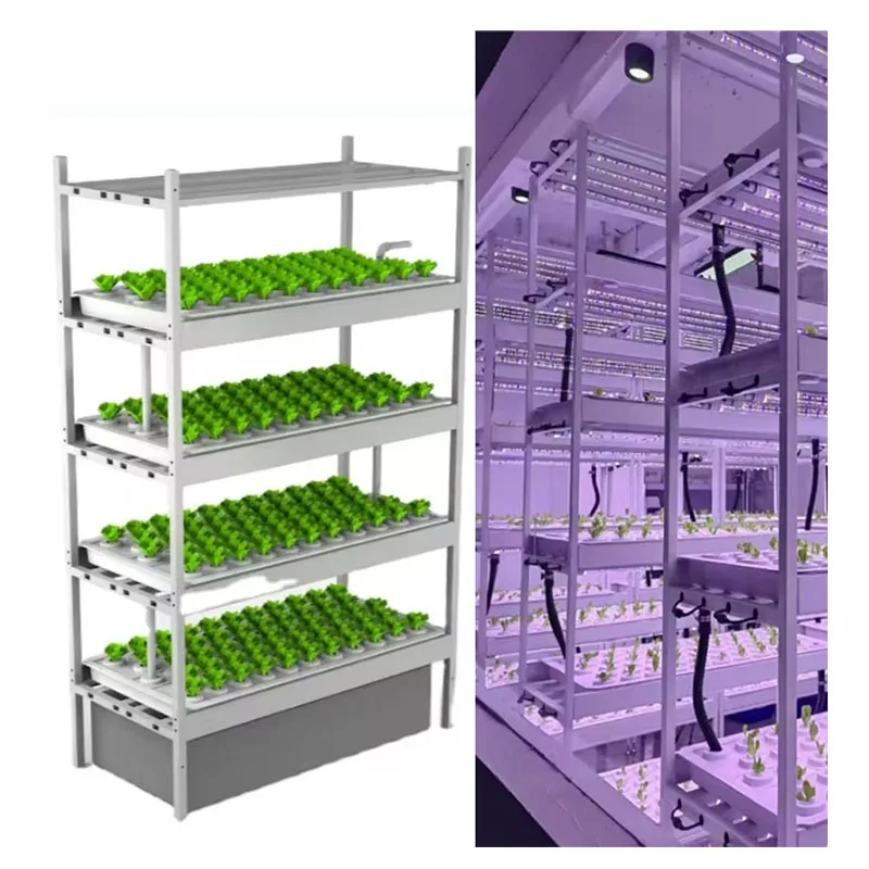f Greenhouse Agricultural Equipment Grow Mushroom Vegetable FruitVertical Farm Hydroponic Tower System Indoor Planting Shel