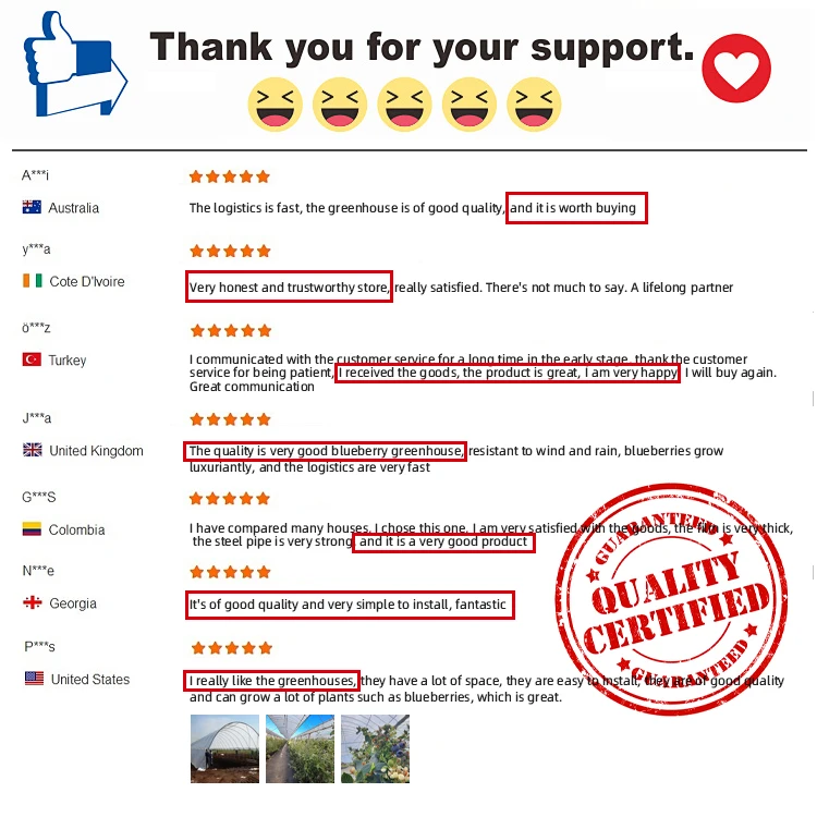 2025 간편 채소밭 묘목 재배 토마토 식물 온실 프레임 키트 플라스틱 온실 장비