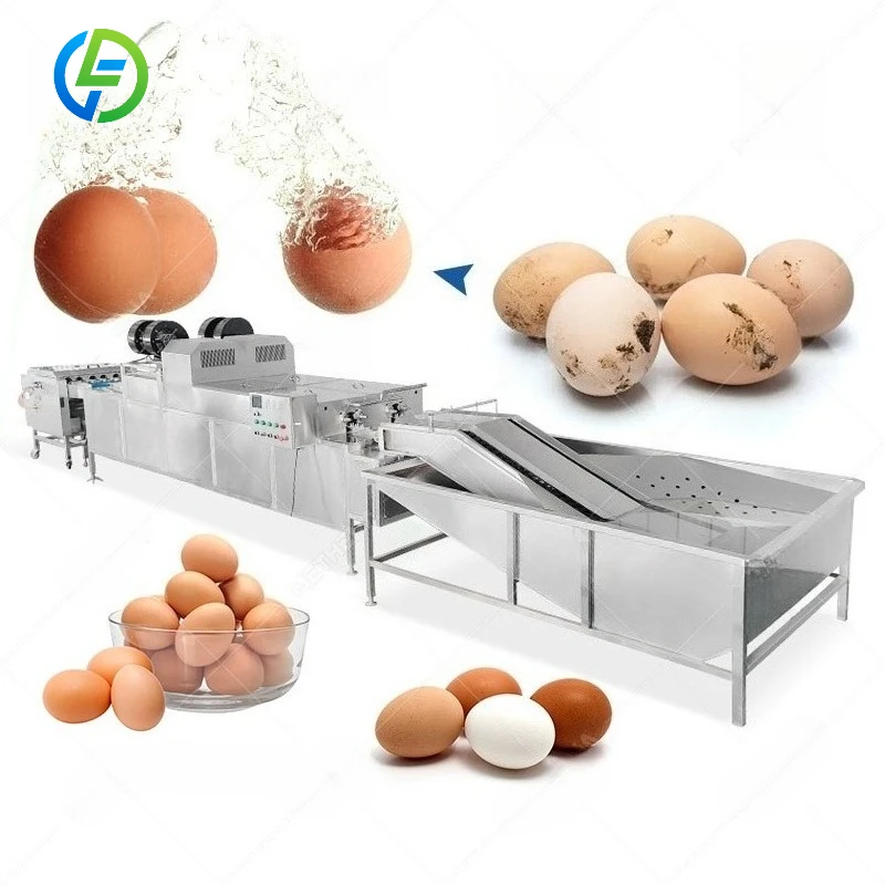 FL Customized Stainless Steel Brush Egg Washing Machine Commercial Egg Washing Line for Egg Producer
