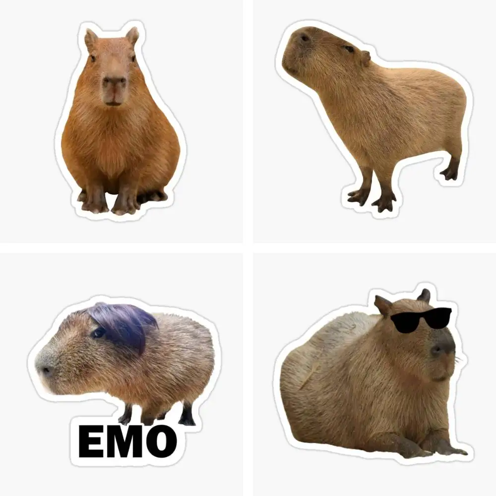 Cute Capybara Memes Sticker Car Window Bumpers Die-cut Vinyl Stickers Decorative Accessories