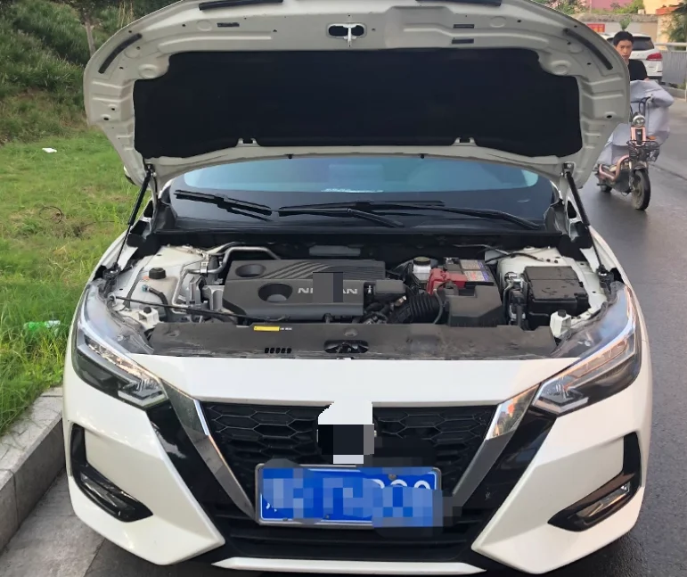 2 Stück Motorhaubendämpfer für Nissan B18 Sentra 2018-2024, Nissan B18 Sylphy, vordere Motorhaube, Modifizierte Gasdruckfedern, Hebestützen, Stoßdämpfer, Kolbenstangen