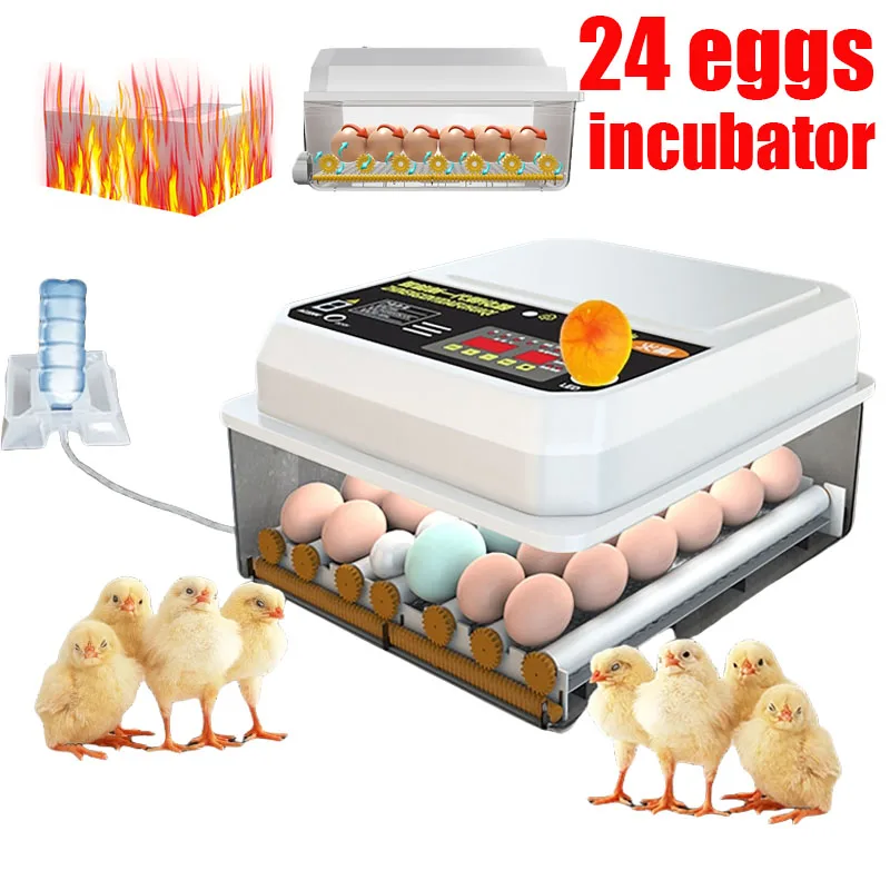 

Полностью автоматический инкубатор для яиц 16/24, 220 В, 12 В, двойной источник питания, мини-бытовой инкубатор для курицы, утки, гуся, голубя, павлиньих яиц