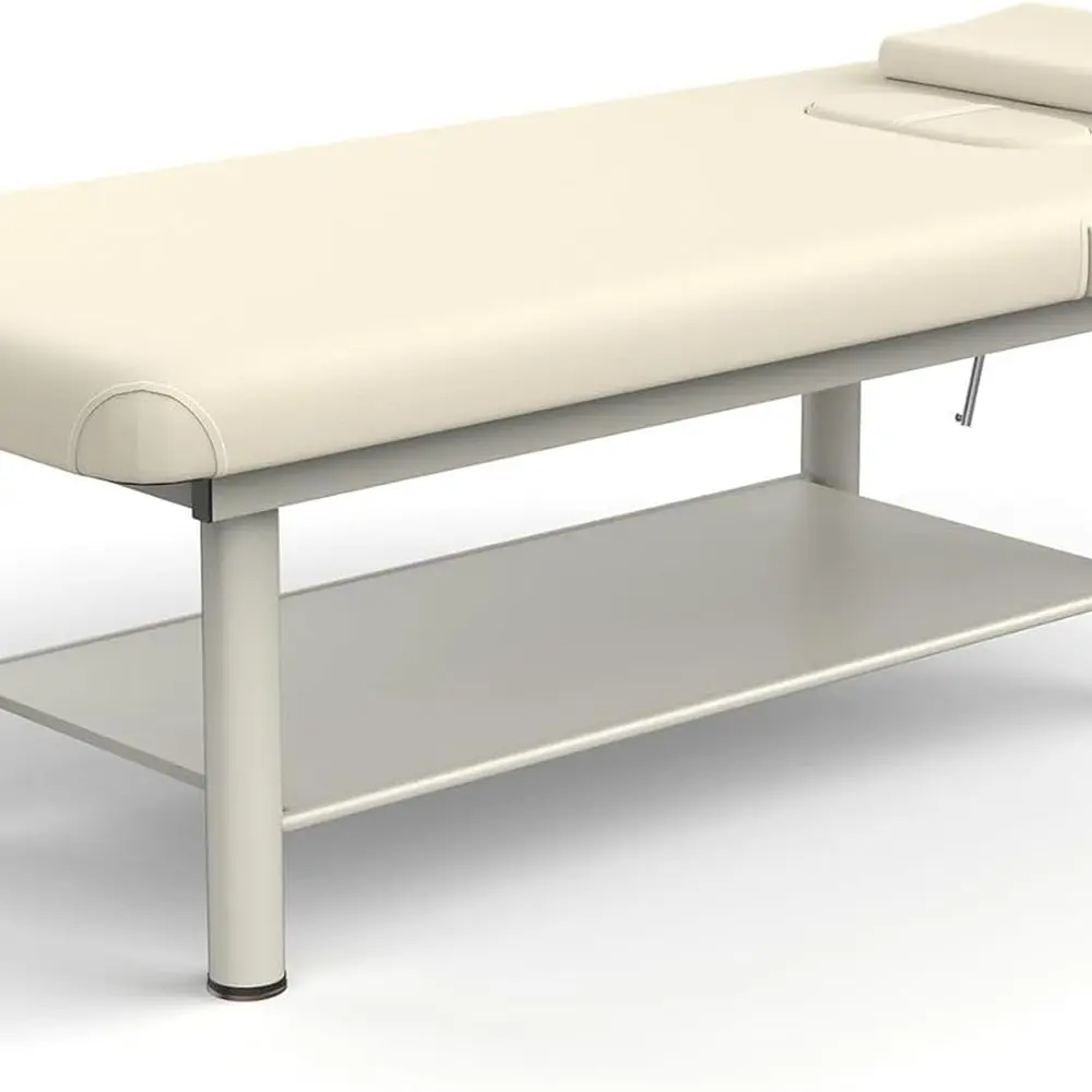 Sturdy Metal Frame Massage Table with PU Leather for Spa, Therapy, and Facial Treatments