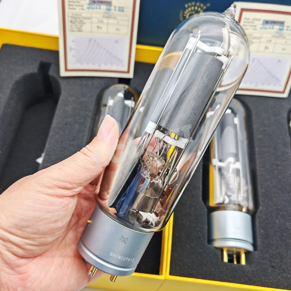 WE845 Vacuum Tube Replaces 845 845B 845C 845-T Used For Tube Amplifier Hifi Audio Amplifier Original Precision Matching