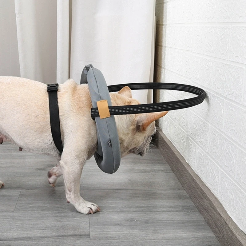 Thumbnail 2 - #84 Top Dog Backpacks Picks for Every Budget