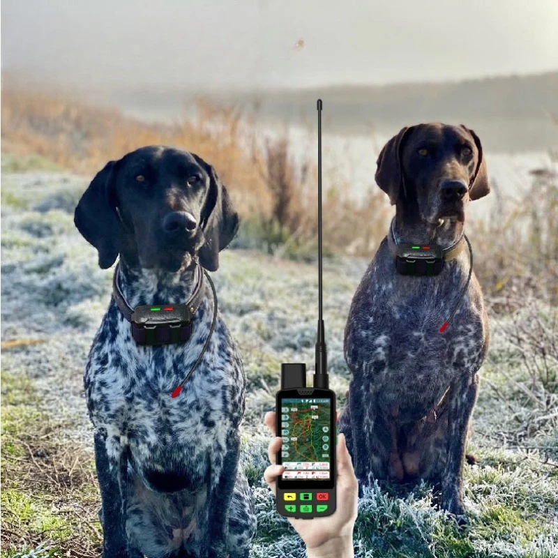 Dual-Purpose LED/Strobe Dog Collar with Tactical GPS HD Offline Maps Military-Grade Shock Columns for Hunting for Pet Supplies