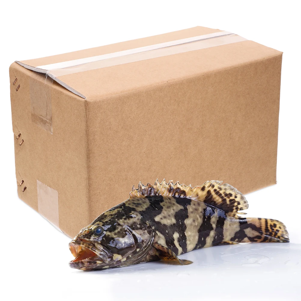 

Insulated Transport Boxes Corrugated Cardboard Large Shipping Moving Refrigerated Box Aluminum Foil Lining Seafood Packing Cold