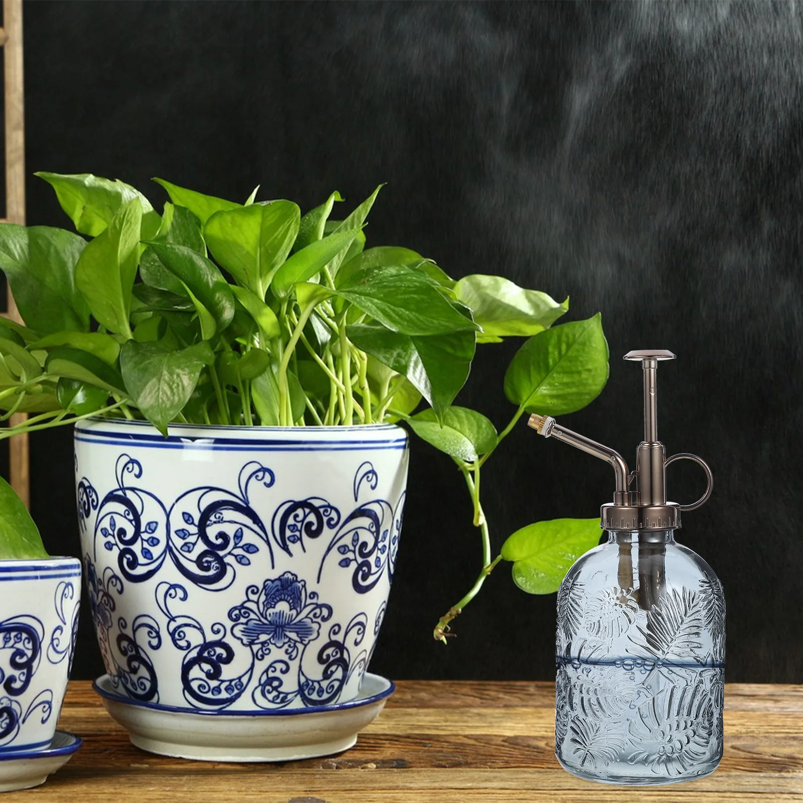 

Small Vintage Watering Can Empty Spray Bottle for Precise Flower Watering Plant Sprayer Plant Sprayer Spray Bottle