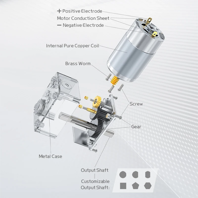 Imagem -06 - Motor dc Escovado em Miniatura Eixo d Bidirecional Engrenagem Metálica Comutação Dianteira e Reversa Regulação de Velocidade 12v 24v 5840555