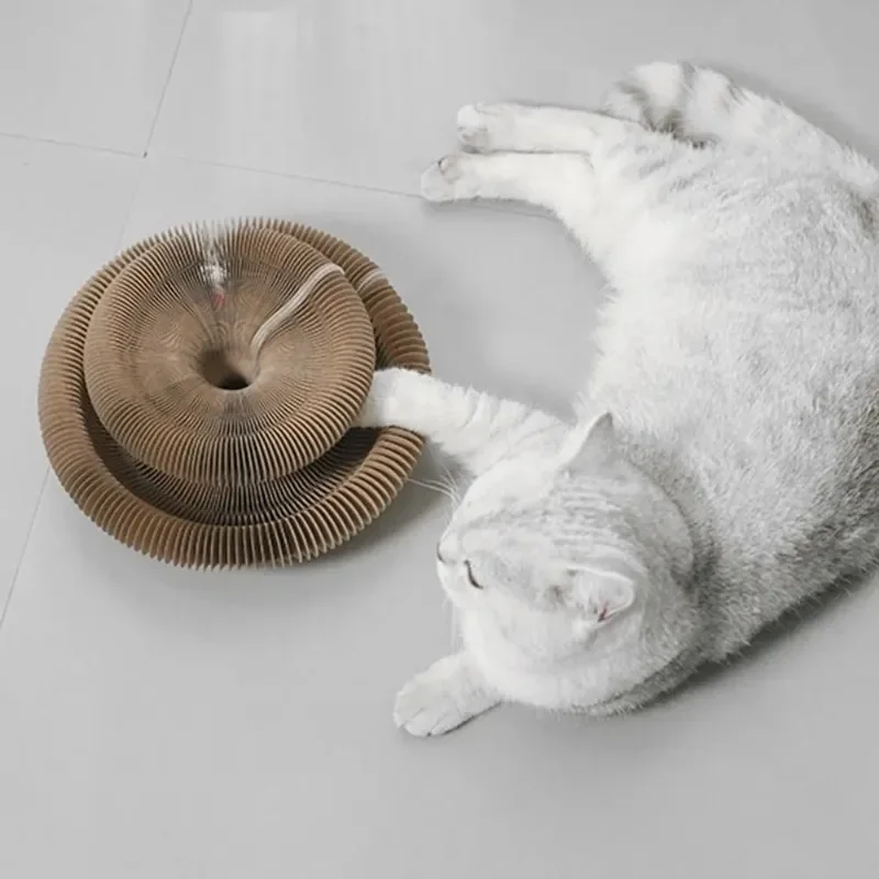 Cat Accordion Magic Organ Cat Scratching Board Cat Toy Ball Scratch Pad Cat Scratcher Kitty Kurlz Cat Toy image 5