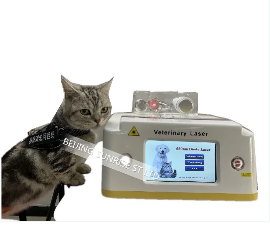 Veterinary Cure 980nm diode  medical machine pain relief wound healing Pet Dog Cat Physical Therapy Equipments