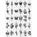 3DHeiHuDie C-30Pcs