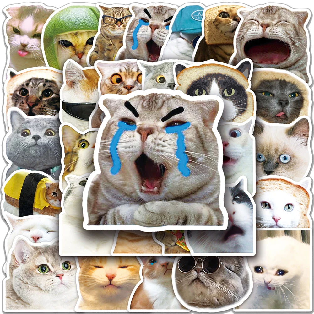 

10/30/50pcs Cute Cat Meme Aesthetics Stickers for Notebook Laptop Skateboard Suitcase Luggage Car Motorcycle Decal Sticker Toys