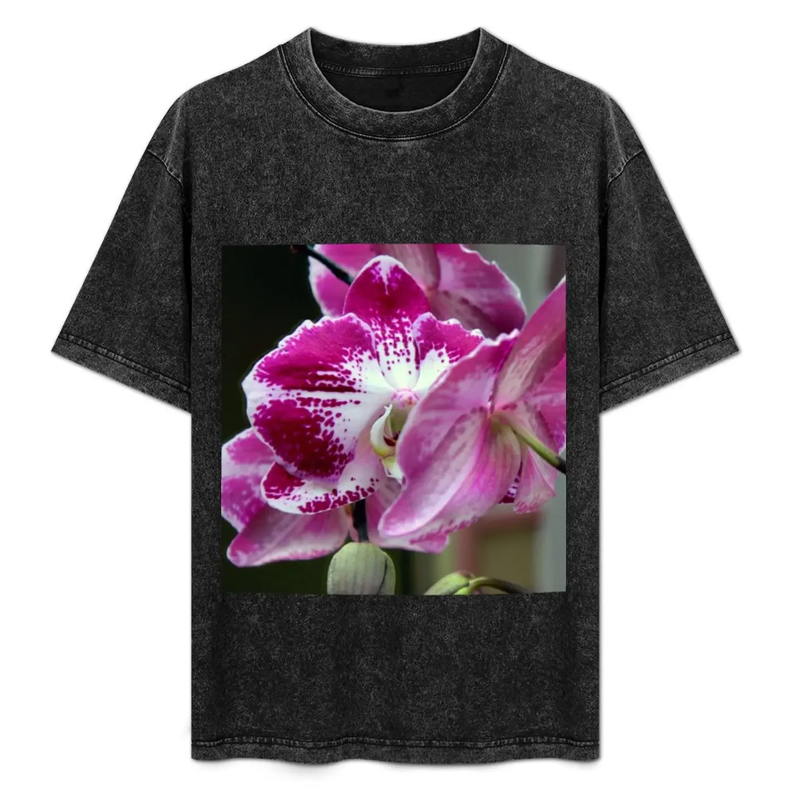 Moths In The Mirror T-Shirt printed t shirts for man t shirts for man pack white T-Shirt