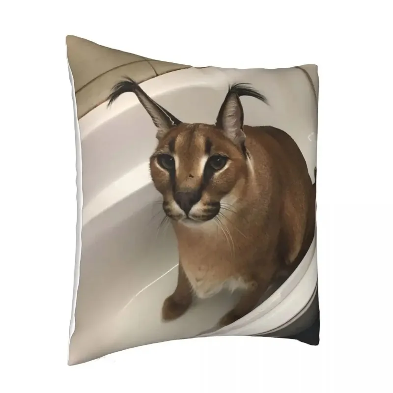 Cute Meme Cushion Cover 40x40 Home Decor Dakimakura Funny Caracal Cat Throw Pillow Case for Living Room Housse De Coussin