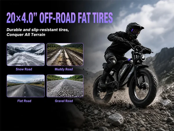 20 Inch Fat Tire Electric Bicycle 1500W Peak 32MPH Max Speed Full Suspension Ebike 48V 20Ah UL Certified Battery Shimano 7-Speed Off Road Electric Bike image 5