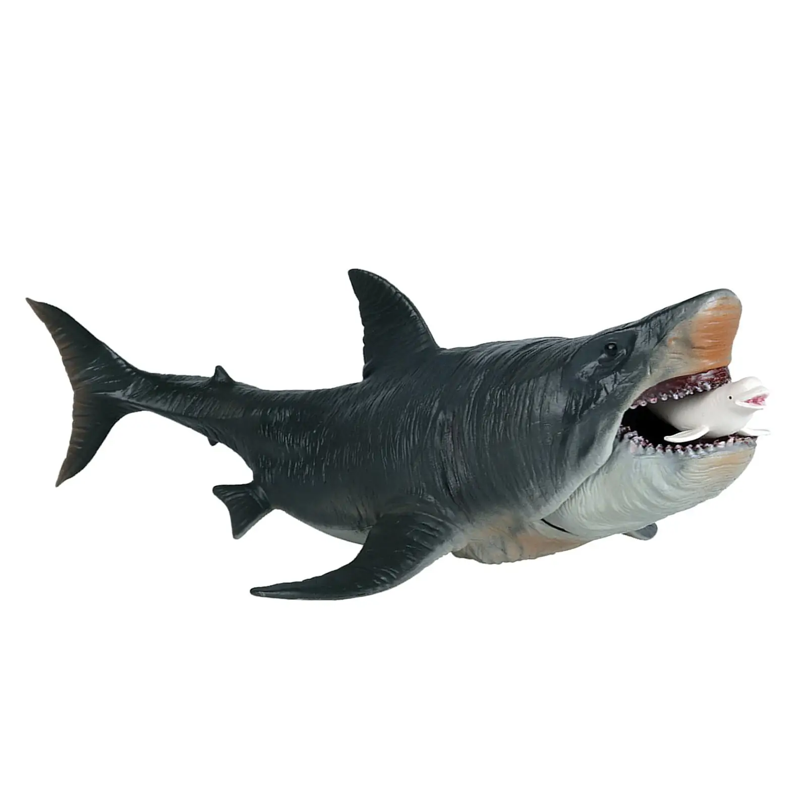 Shark Figure Megalodon Model Animal Simulation Shark Toy for Teaching Aid Ages