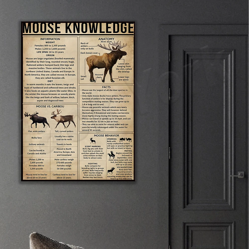 Moose Knowledge Poster Wall Decor Science Educational Anatomy Poster, Home Decor Farm Decor Print