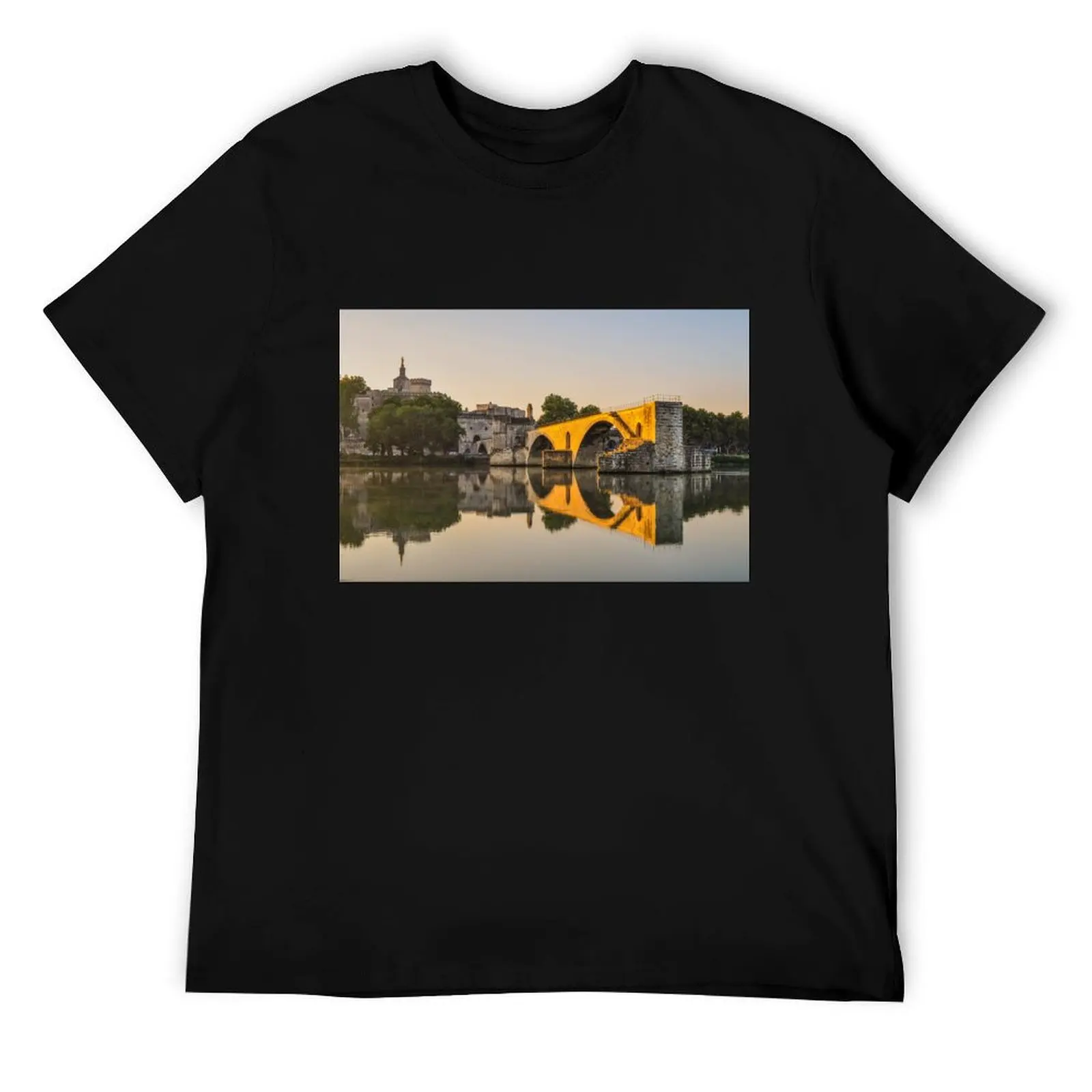 

Avignon Bridge Reflection T-Shirt graphic t shirts for man man graphic t shirt t shirts designer T-Shirt