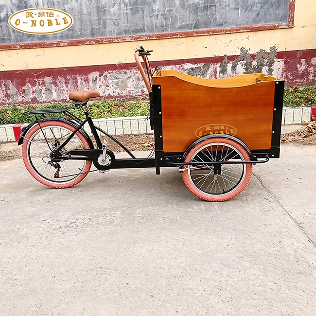 Cargo Bike China Family 3 Wheel Electric Cargo Bike 350W Motor