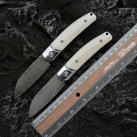 Damascus Steel Folding Knife VG10 High Hardness Sharp Small Knife Outdoor Camping Pocket Knife