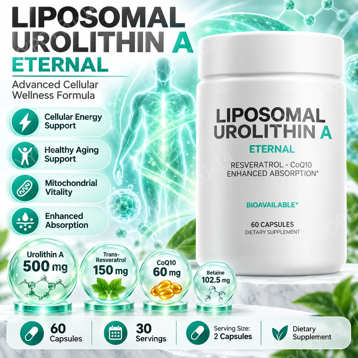 Liposomal Urolithin A Capsules, Support Cell Renewal & Healthy Aging & Antioxidant ,Resveratrol CoQ10 Betaine 500mg 60 Capsules