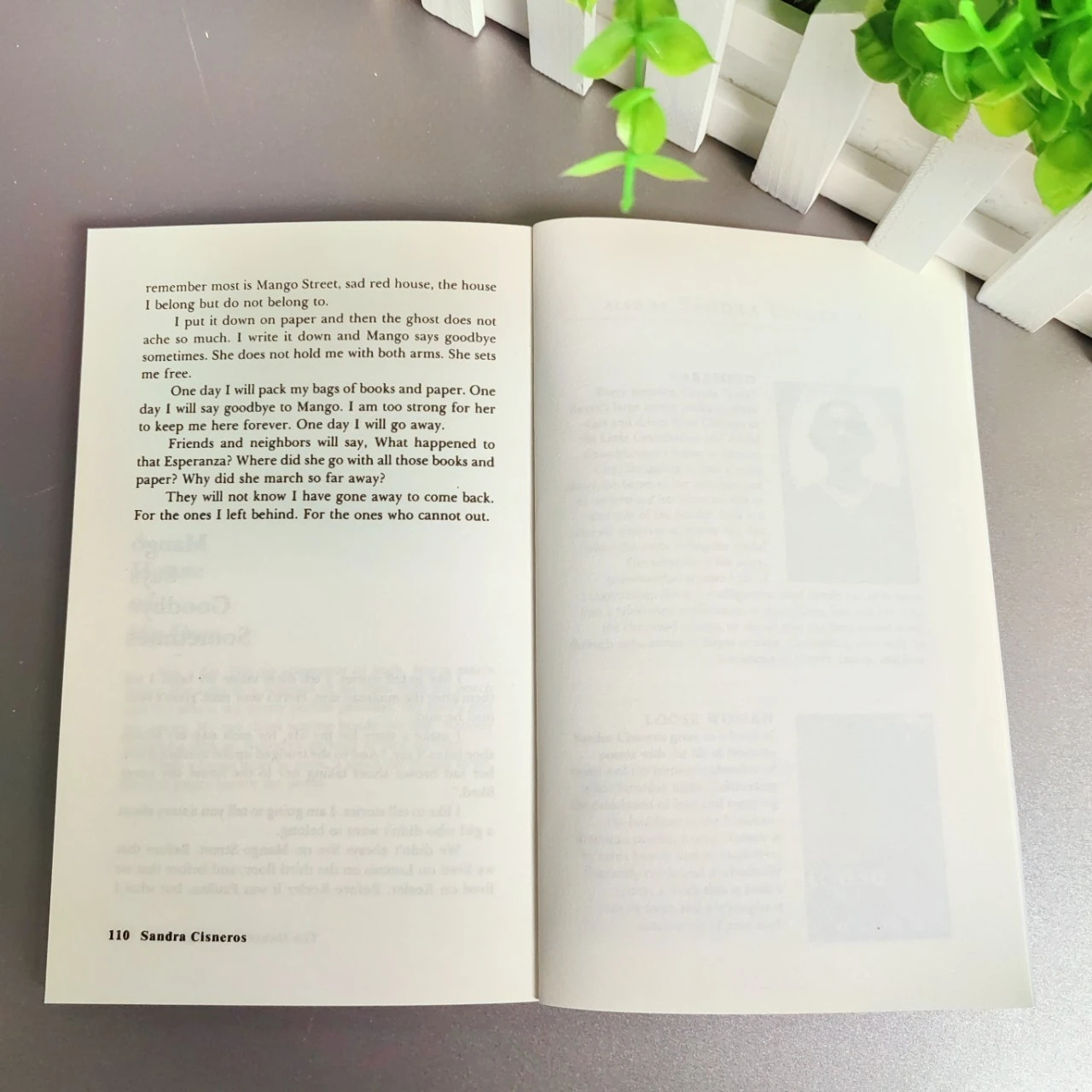 Prenota La Casa sulla strada di mango. Editorial VINTAGE 2007 anno d'autore Sandra Cisneros