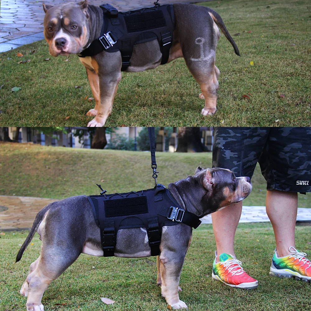 

Tactical training dog vest new laser Cobra dog clothing outdoor equipment pet clothing
