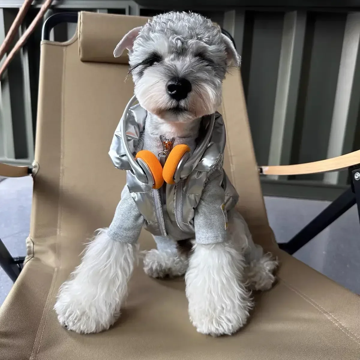 Silver Cotton-Padded Waistcoat for Dog, Warm Clothes, Thickening, Schnauzer, Bichon, Teddy, Shiba Inu, West Highland