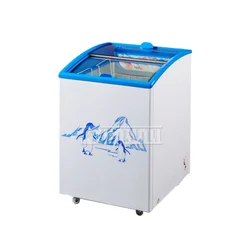 Commercial Refrigerator Cabinet Freezer Household Small Ice Cream Cabinet Kitchen Refrigerator Freezer Refrigeracion