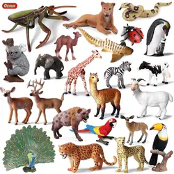 Oenux Original Wild Animals Leopard Lion Model Action Figure Alpaca Peacock Spider Figurines Miniature Collection Toys For Kids