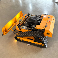 Customized Hot Sale Crawler Lawn Mower Diesel Power Garden Turn Grass Cutter with Tracks