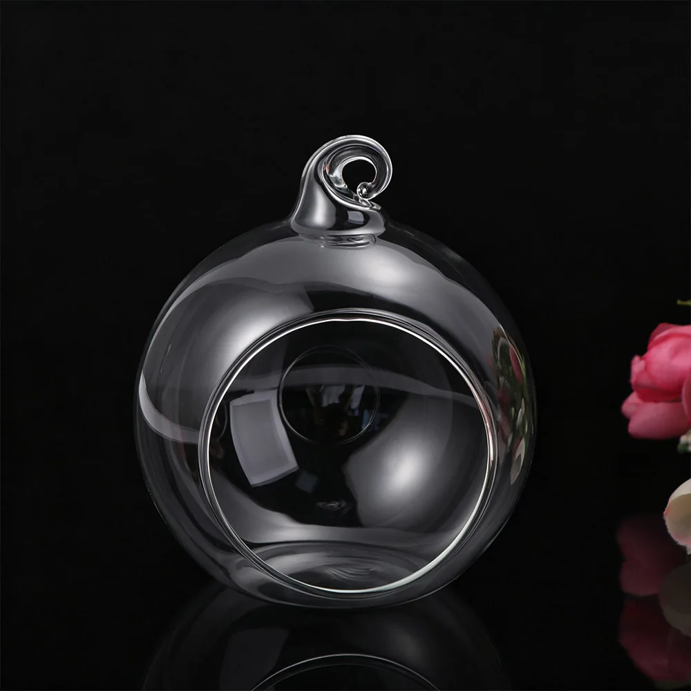 Transparent Hanging Glass Vases Clear Ball Succulents Plant Ball Container Borosilicate Glass 6/8/10/12/15cm Glass Planter Moss
