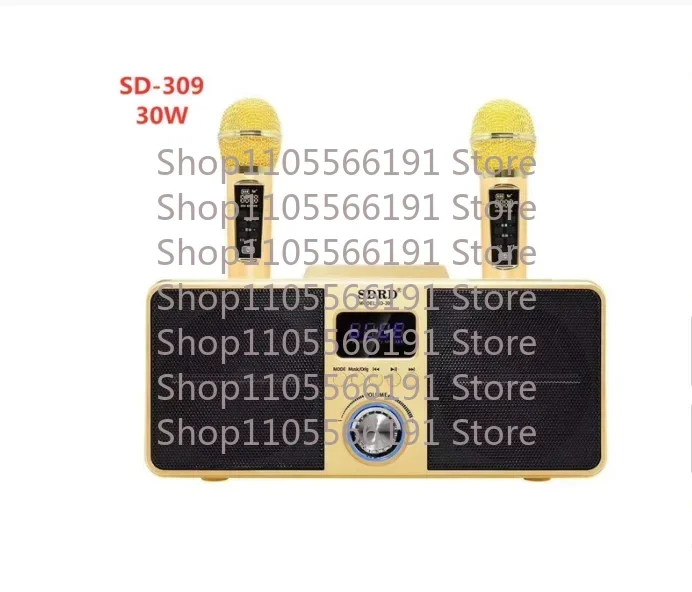 30W high-power SDRD  309 household KTV equipped with wireless microphone dual person duet Bluetooth speaker all-in-one