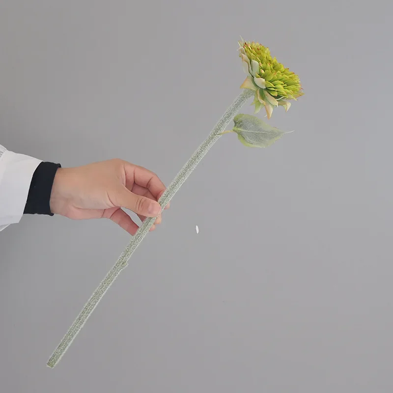 Variant: Small Green-1PC
