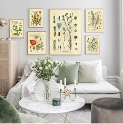 Vintage Wild Plant Poster Botanical Flower Study Living Room Hanging Painting Peony Picture Aesthetic Room Decor Canvas Paintng