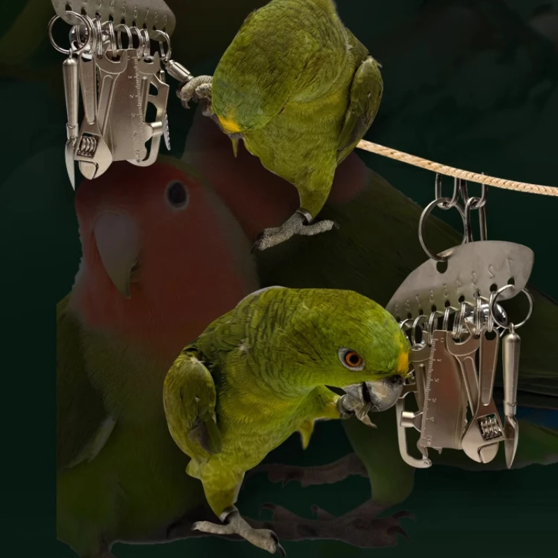 

Medium and large parrot metal gnawing toy macaw gray parrot puzzle bird cage rack pendant