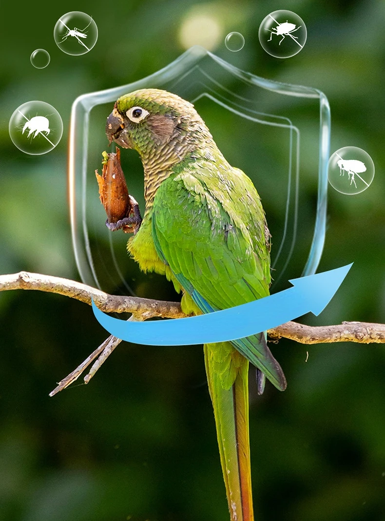 Thumbnail 2 - #12 Latest Bird Supplies Offers