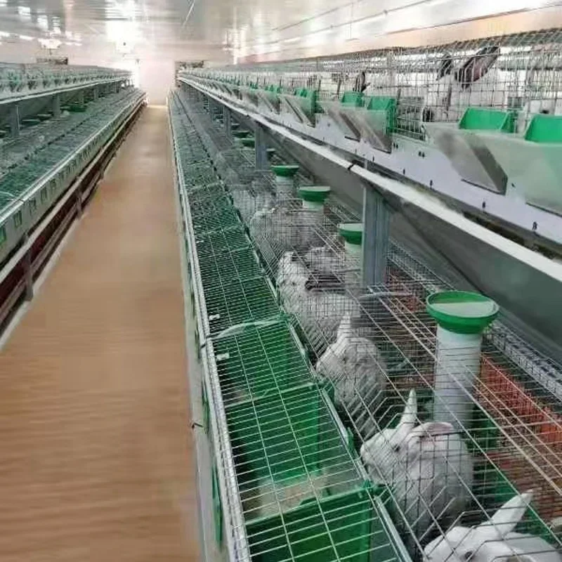 Hot SalesHot SalesHot Selling High Quality Customized Hot Dip Galvanized Material 3 Layer 4 Layer Rabbit Cage