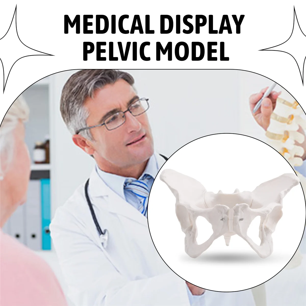 【New User-Coupon!】Medical Teaching Model