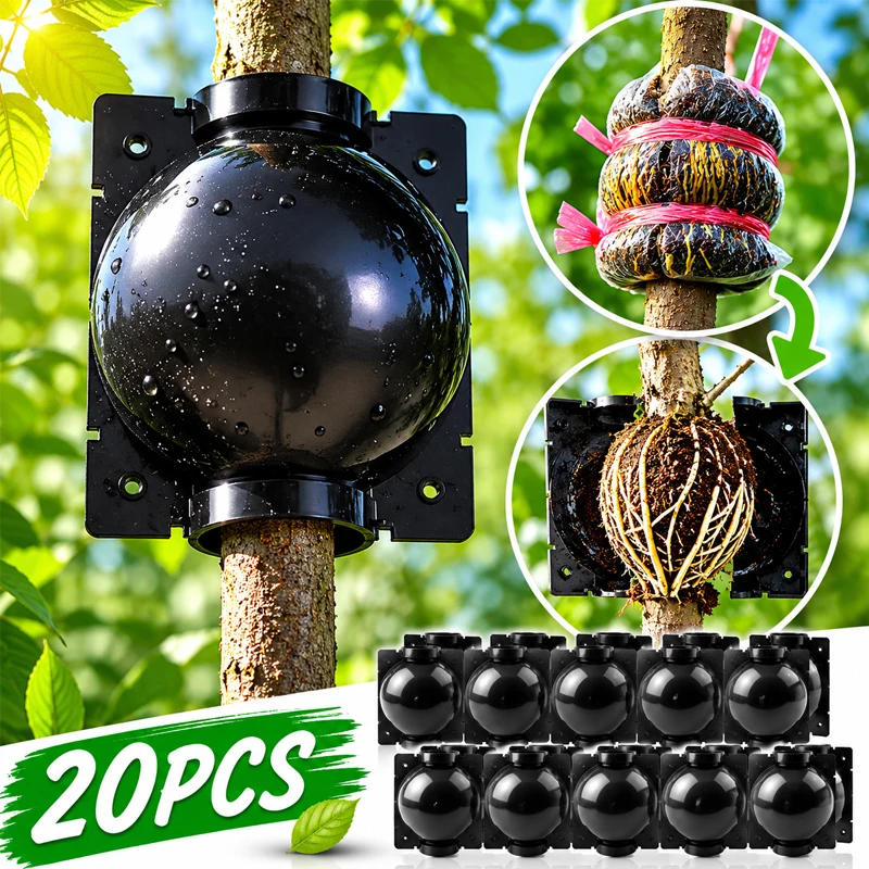 Plant Growth Regulator - 20Pcs Reusable Plant Root Growing Box
