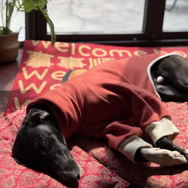 Rote Winterkleidung für Whippet-Hunde, weicher 2-beiniger Feiertagsmantel für italienische Little Greyhound Bedlington Loungewear im Herbst – Detail 6