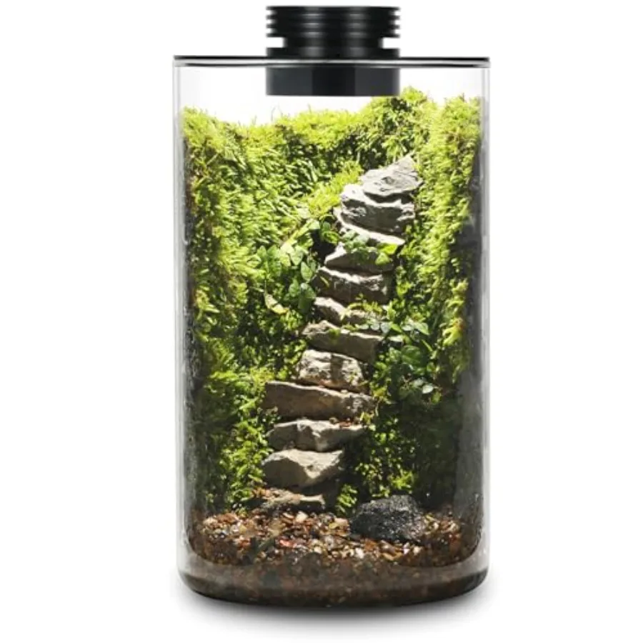 

Desktop Glass Plant Terrarium with Grow Light H:9.8" D:5.9",for Succulent, Moss, Miniature Gardening Landscape, Betta Fish Tank